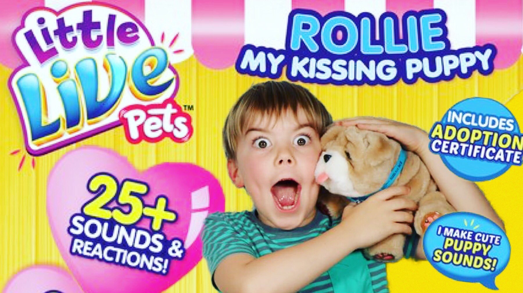 Rollie the kissing dog cheap