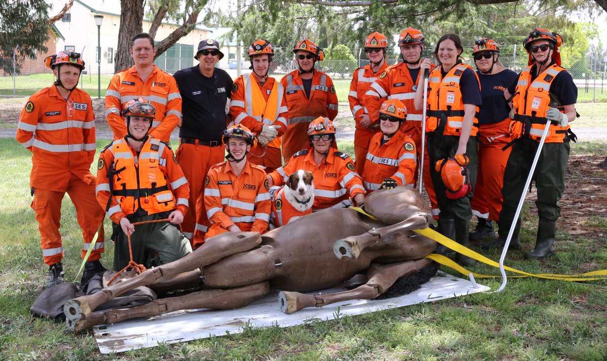 Kingy2758's tweet photo. Congratulations to the @NSWSES Bathurst Unit on your new Large Animal Rescue capability. A great weekend learning techniques to rescue horse and cattle from a range of challenging situations.  #largeanimalrescueoperations 
#buildingoperationalcapability https://t.co/VY35CofdiE