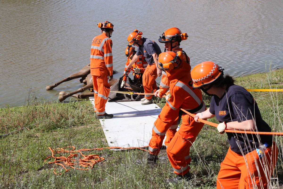 Kingy2758's tweet photo. Congratulations to the @NSWSES Bathurst Unit on your new Large Animal Rescue capability. A great weekend learning techniques to rescue horse and cattle from a range of challenging situations.  #largeanimalrescueoperations 
#buildingoperationalcapability https://t.co/VY35CofdiE