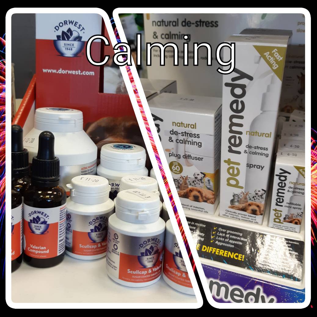 PetShedBrighton's tweet photo. Is your pet afraid of fireworks and loud sudden noises? We have lots of wonderful natural remedies. Pop into the shop to find out more
#brighton 
#fireworks
#shoplocal
#dogsofbrighton 
#catsofbrighton https://t.co/4hWmchQBZ0
