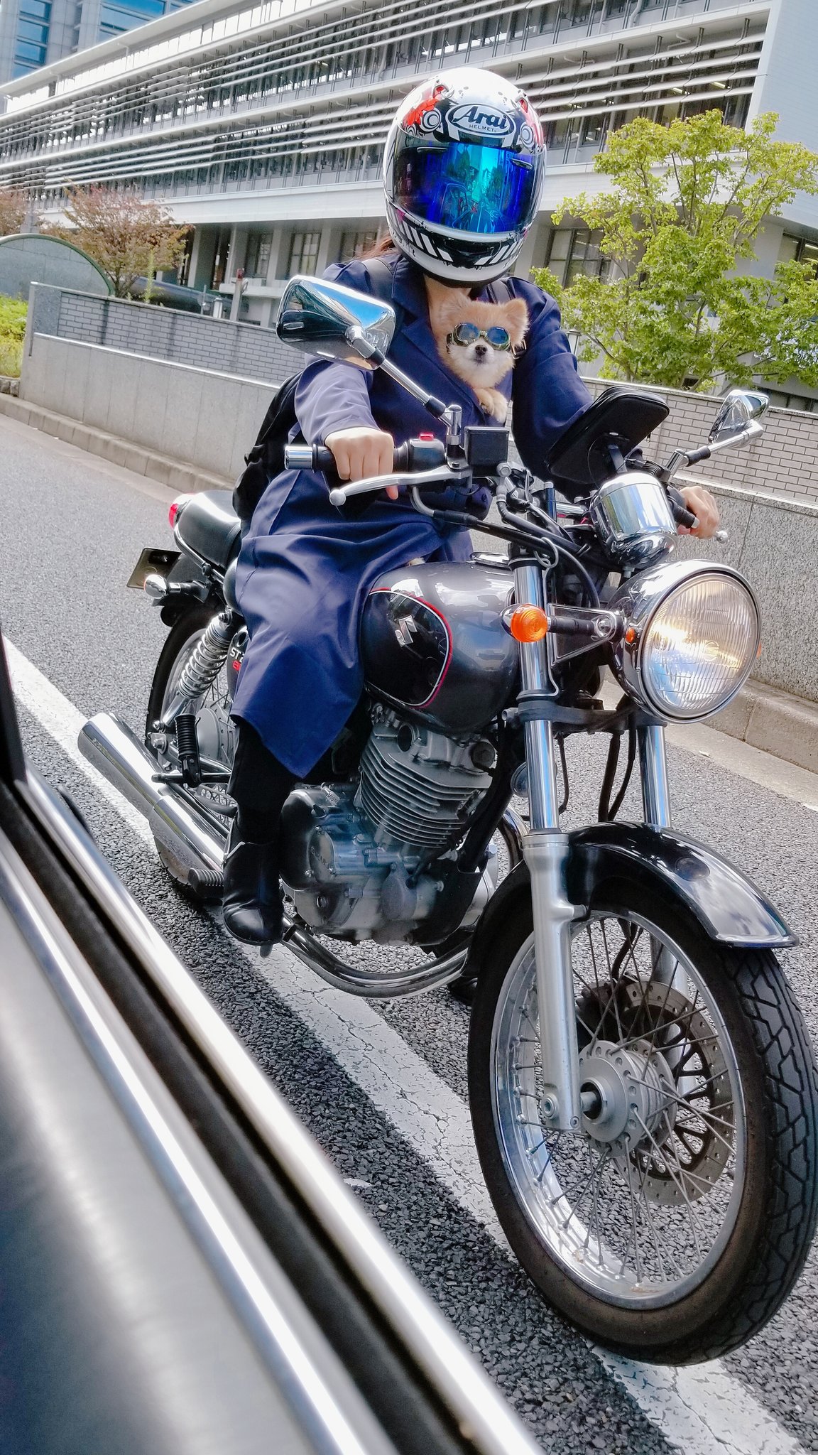 犬ライダー Twitter Search Twitter