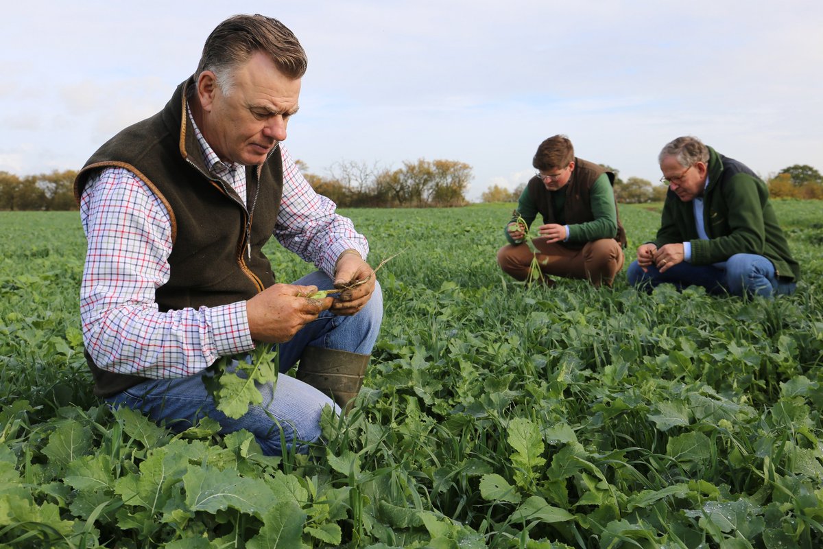 Springfieldsoil's tweet photo. Missed our latest farm diary stories? From Septembers crop update to our Soya harvest in October - Catch them here: https://t.co/iSvRMUHTmL #FarmDiary https://t.co/lps328wXua