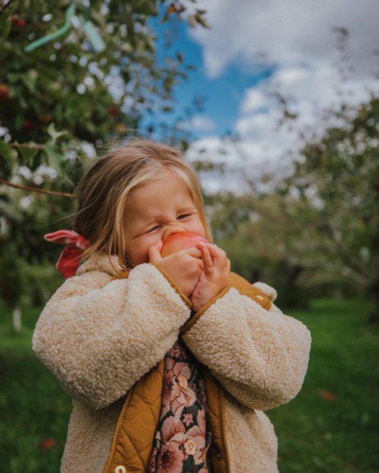 El primer mordisco siempre es el más difícil.
Por eso es muy importante tener mucha hambre antes.
#motivación #esfuerzo #reto