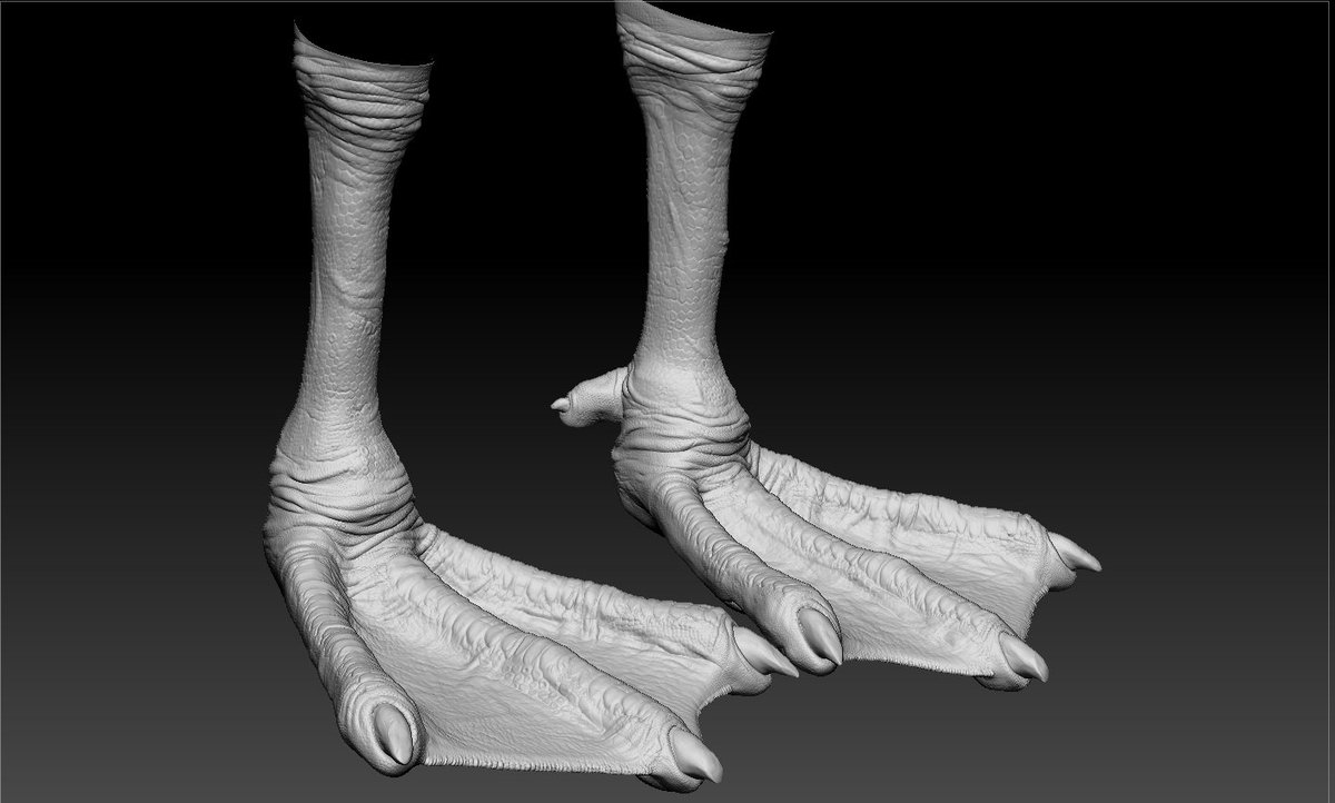 gosha_simonov's tweet photo. New bird model WIP #2: Goose legs Sculpt 🙂
#art #3d #zbrush #sculpt #wip #bird #goose #cg #makeof #happy #work #indie #lowpoly #portfolio #artstation #modeling #sculpting #course #artist #animal #turbosquid #tutorial https://t.co/HTvtcORB5q