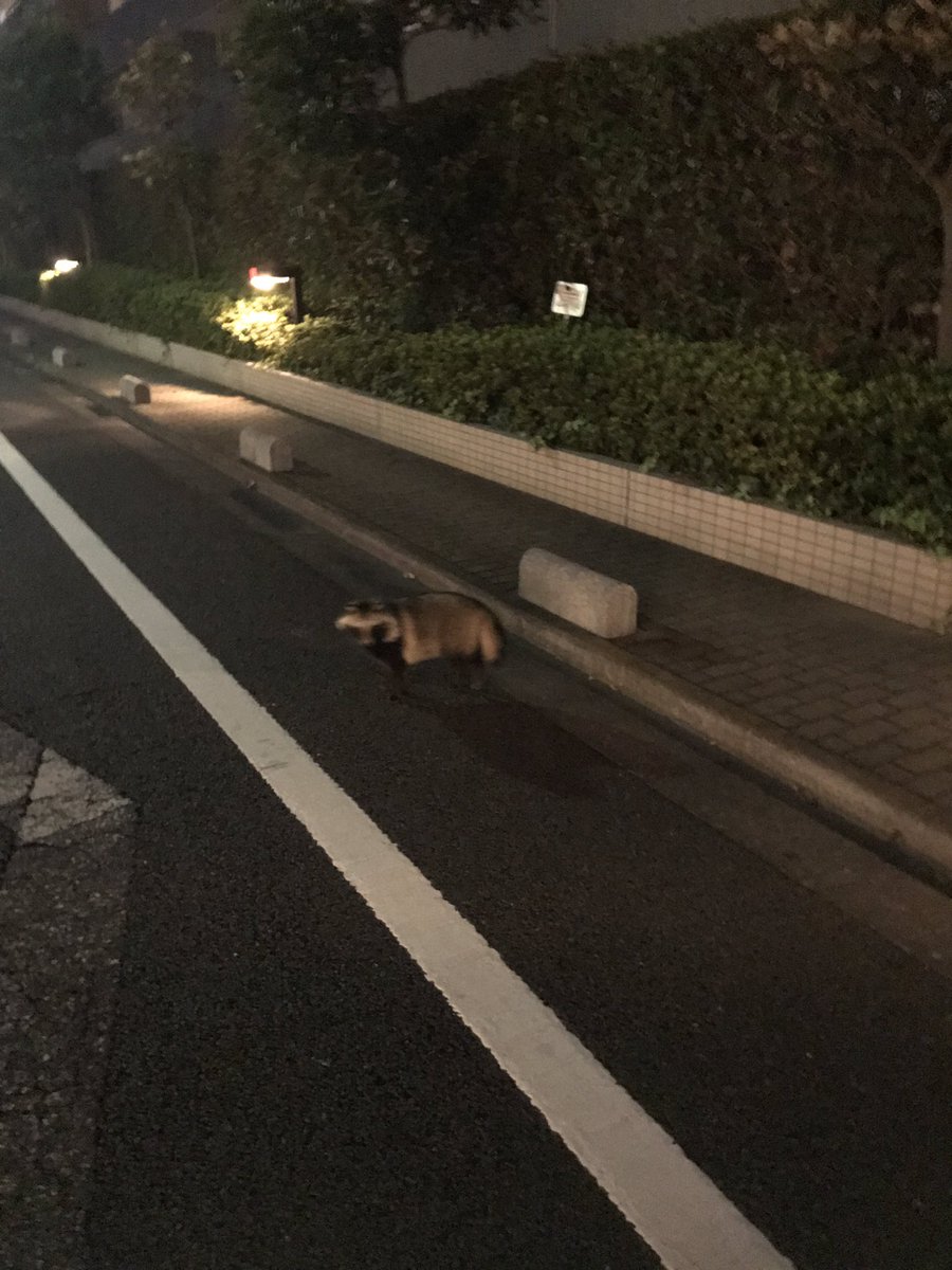狐につままれた気分