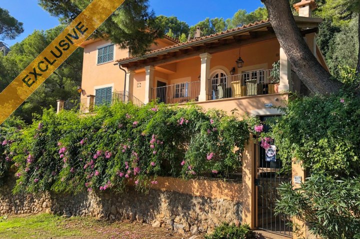 MDHMallorca's tweet photo. EXCLUSIVE! Beautiful villa with fantastic views in prime location in #PortdeSóller https://t.co/ZisfttQzis #RealEstate #Propiedad #ForSale #Property #Realtor #Realty #Investment #Rentahouse #inmuebles #inmobiliaria #propiedad #venta #ventadeinmuebles #Soller #Mallorca https://t.co/i9CiwEemVA