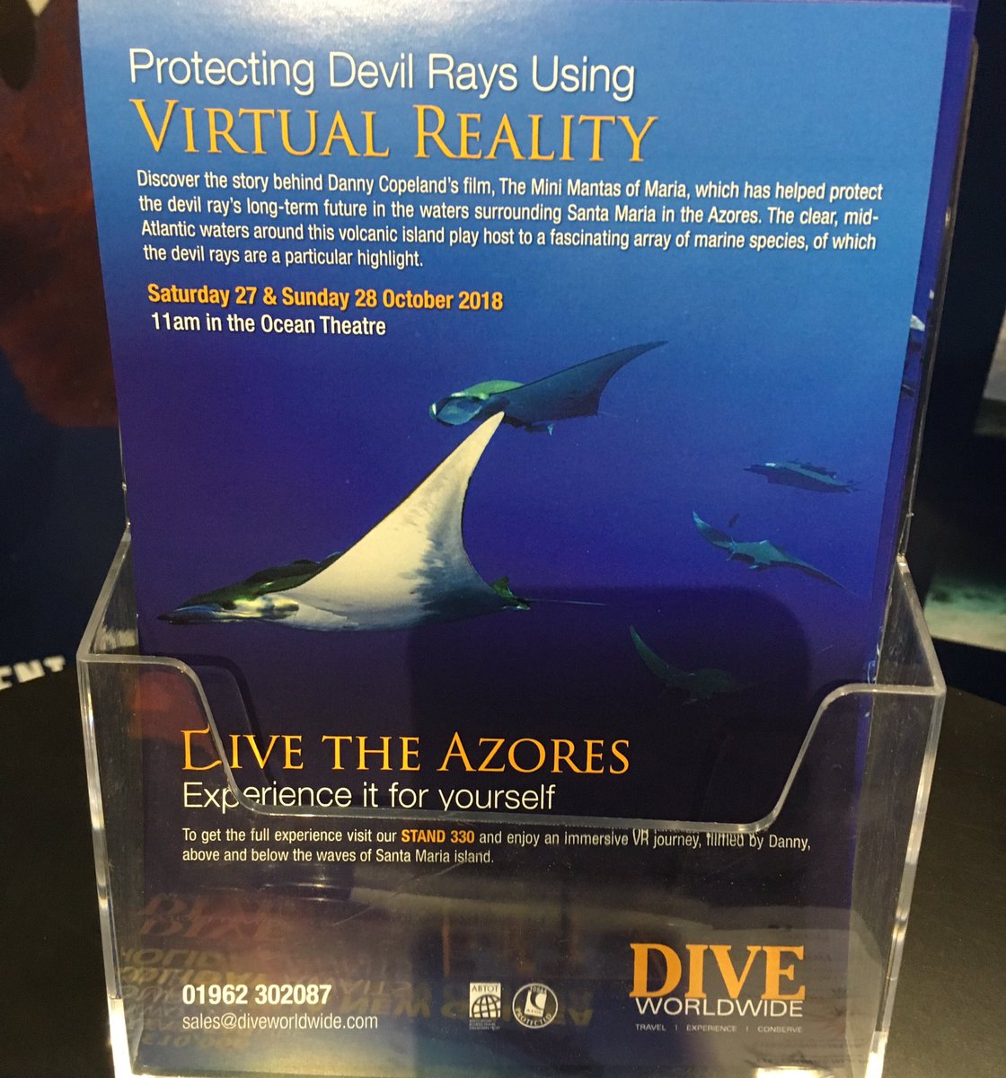 Dive Worldwide tweet media