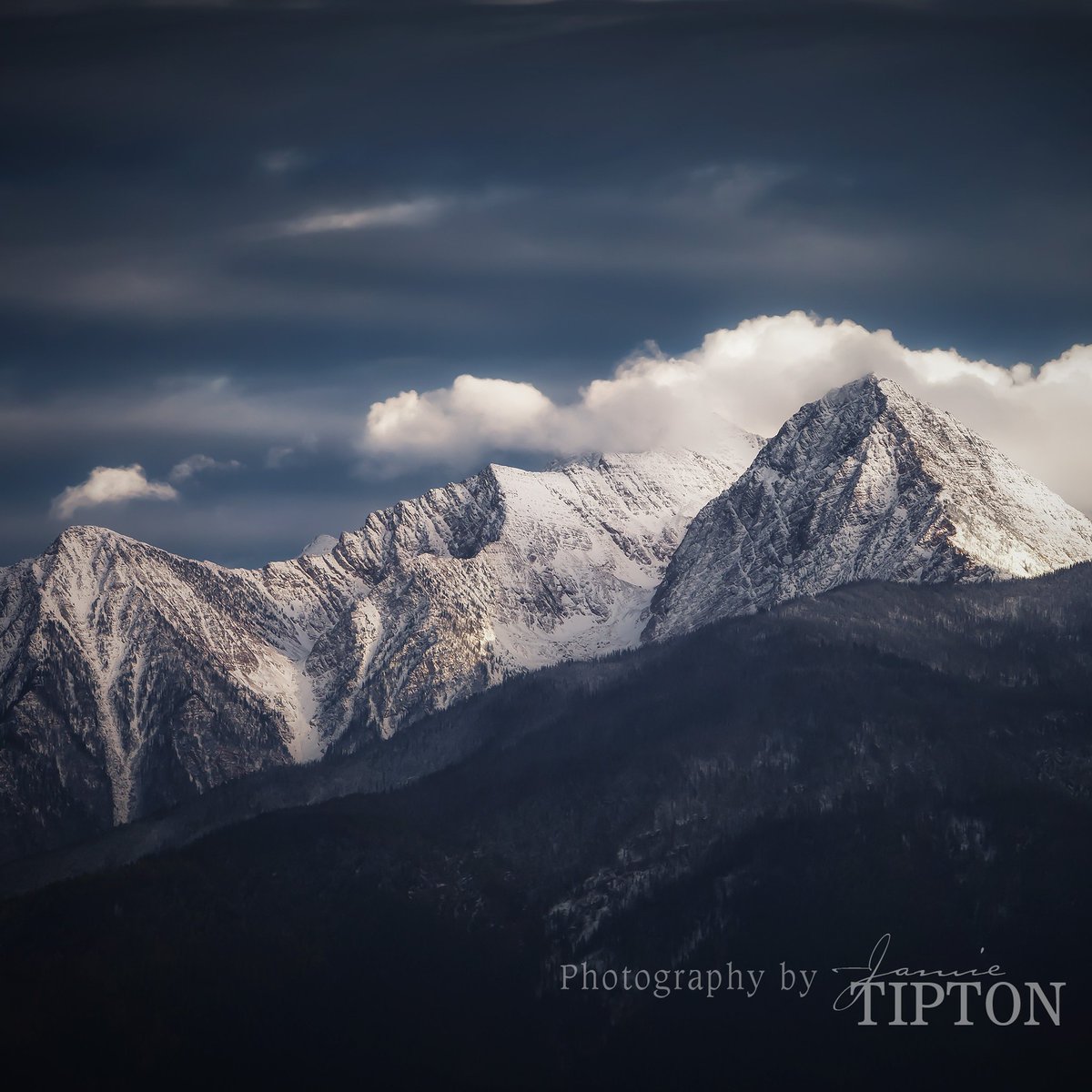 PhotosbyJTipton's tweet image. Crystal clear direct perception. Merged with the whole.
Mind settles.
Peace.
.
.
The Mission Mountains | Original photography by Jamie Tipton.
bit.ly/2Q1sici
.
.
#missoulaphotographer #missionmountains #flathead  #montanamoment #mountains    #getoutside