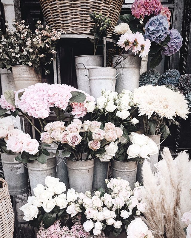 winyeemichelle's tweet image. Pics or it didn&apos;t happen 📸🌹🌻🌼 #wildatheart
.
.
.
#thecaptionclub #shinyhappybloggers #littlestoriesofmylife #bloggervibes #theeverydaygirlathome #myperspective #myeverydaymagic #bloggervibes #thegirlgang #theblogissue #thatauthenticfeeling #alittlebe… ift.tt/2AwcqsN