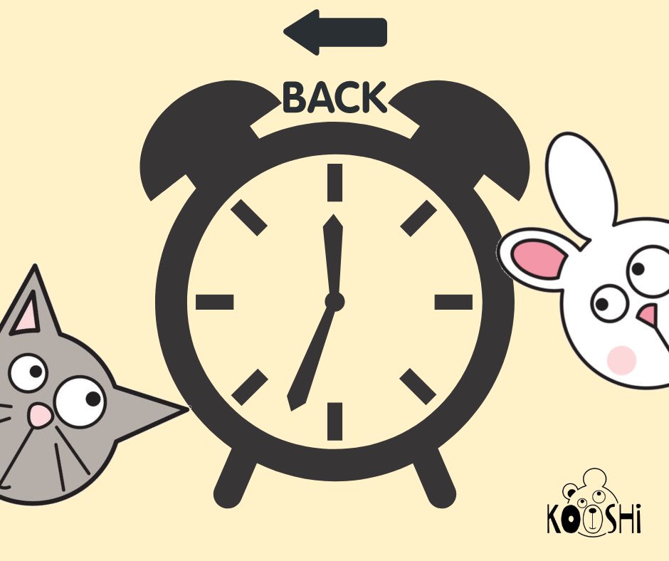 kooshiuk1's tweet photo. Don’t forget! 
Daylight Saving Time Ends = 1 hour longer in bed. 🤗

#travel #cute #OffAndAway #holiday #KooshiCompanion #friends #kids #KooshiClass https://t.co/UqPp7aGr04