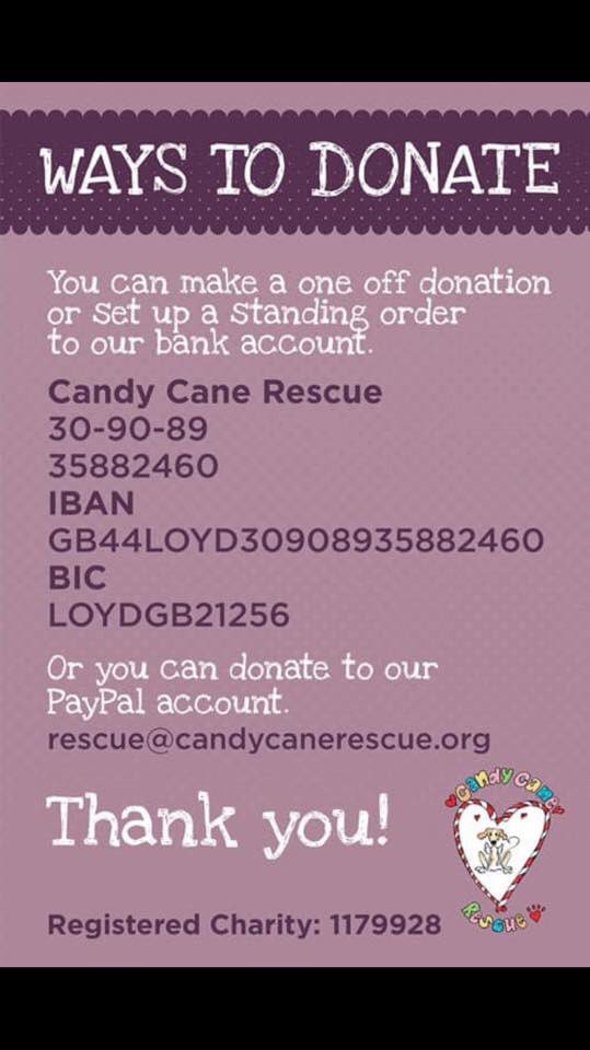 Candy Cane Rescue on Twitter "Kerry has just been to the vets and has