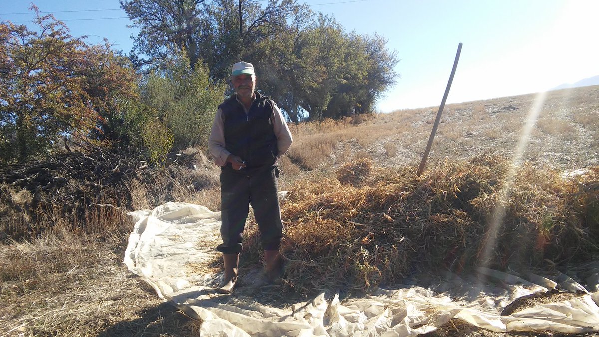 Rıza Turkut (@turkutza) on Twitter photo 