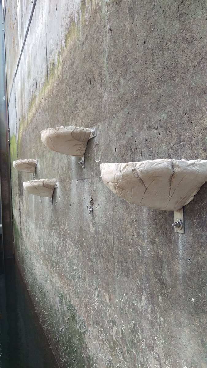 ArtecologyDept's tweet photo. Our first Vertipool Array in Ireland is installed! Superb work by @ecolpaul means our ‘Compton’ model Vertipools at Kilmore Quay are now part of new research into #Ecostructures. #EcoEngineering R&amp;D with @wefowales @ecostructure_ @UCDSBES  @UCDEarth  #Biodiversity #AEC #25YEP https://t.co/UAJbCmpsM6