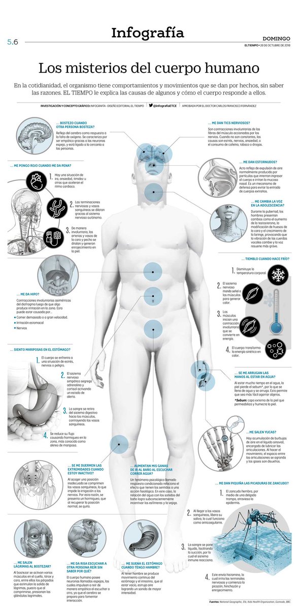 Infografía ETCE tweet media
