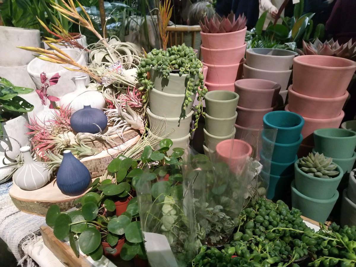 The_RHS's tweet photo. Today is the final day of our #RHSLondon Urban Garden Show. Who’s joining us? Tickets for today are available on the door.

https://t.co/y8Ccz8GnF7 https://t.co/mLIeFtFsX4
