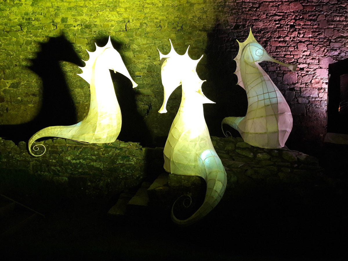 mandy_h75's tweet photo. #GwylTanAMor #Harlech yn gwych neithiwr. #FireAndSeaFestival was amazing last night in the @Harlech_Castle #DramaACerdd #DramaAndMusic #GutoGavis, #Elfen #Vri @CalanFolk @DrMariaHayes #Cadw @mad_sl #cefnogaethMAD #MADsupport https://t.co/ybNa7CfVek