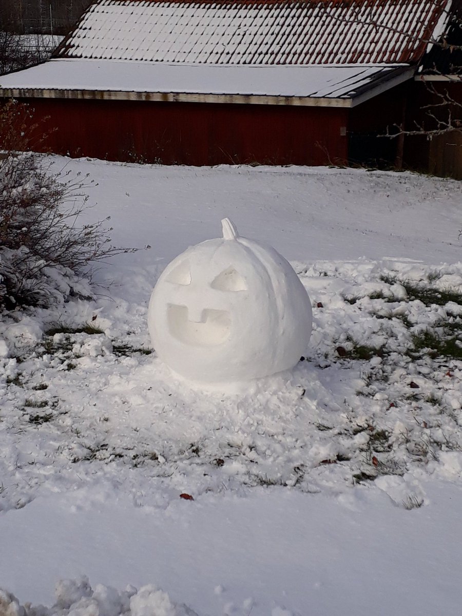 Sorokaste's tweet photo. Hello. I'd like you to meet my son. #FirstSnow #ColdBoi #MustProtect https://t.co/AgMGIjlcMb
