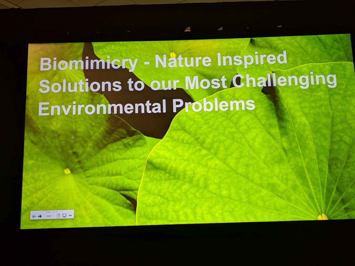 Very excited to present at #CASTEAM18 our ❤️ #Biomimicry :Nature Inspired Solutions to our Most Challenging #Environmental Problems <a href="/ecorise/">EcoRise</a> <a href="/EllenFChevalier/">Ellen Chevalier</a> <a href="/TenStrands/">Ten Strands</a> <a href="/oakparkusd/">Oak Park USD</a> <a href="/VCOESTEM/">VCOE STEAM Task Force</a> <a href="/VenturaCOE/">Ventura Co Ofc of Ed</a> <a href="/nathan_inouye/">Nathan Inouye</a>