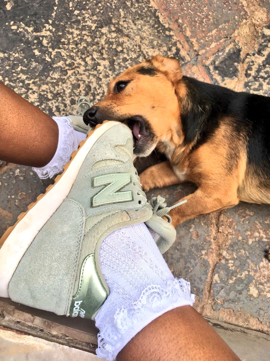 tsholo_nkosi27's tweet image. Bobby🐶+Bobby socks🧦-Bobby=Bobby socks appreciation post  🐶🧦S/O to @Waviest_baby for plugging me💛🌻.