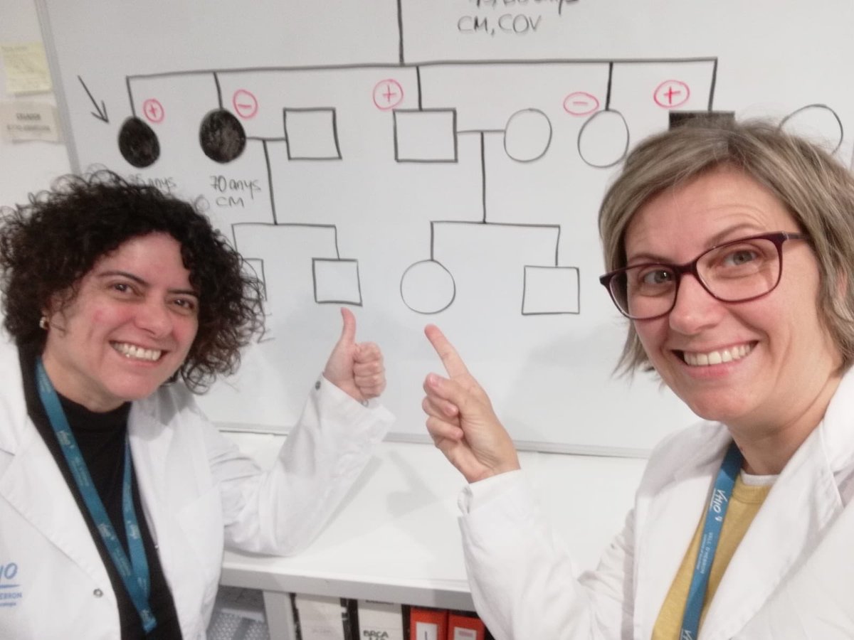 SaraGutierrezEn's tweet photo. Oncogenètica del #VHIO investiguem el #càncer de mama #ovari #hereditari, i avui ho expliquem al #48hOpenHouse al @vallhebron https://t.co/2OtSyf1cUF