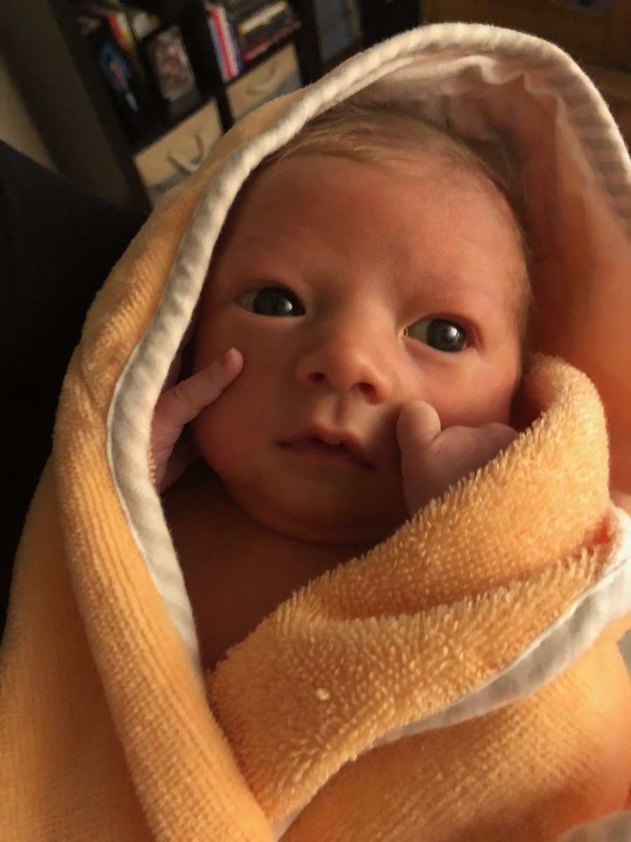 EvanDonovan's tweet photo. Our country is going crazy so enjoy this picture of my newborn son after his first bath at home ❤️ https://t.co/gyI5vI1qcr