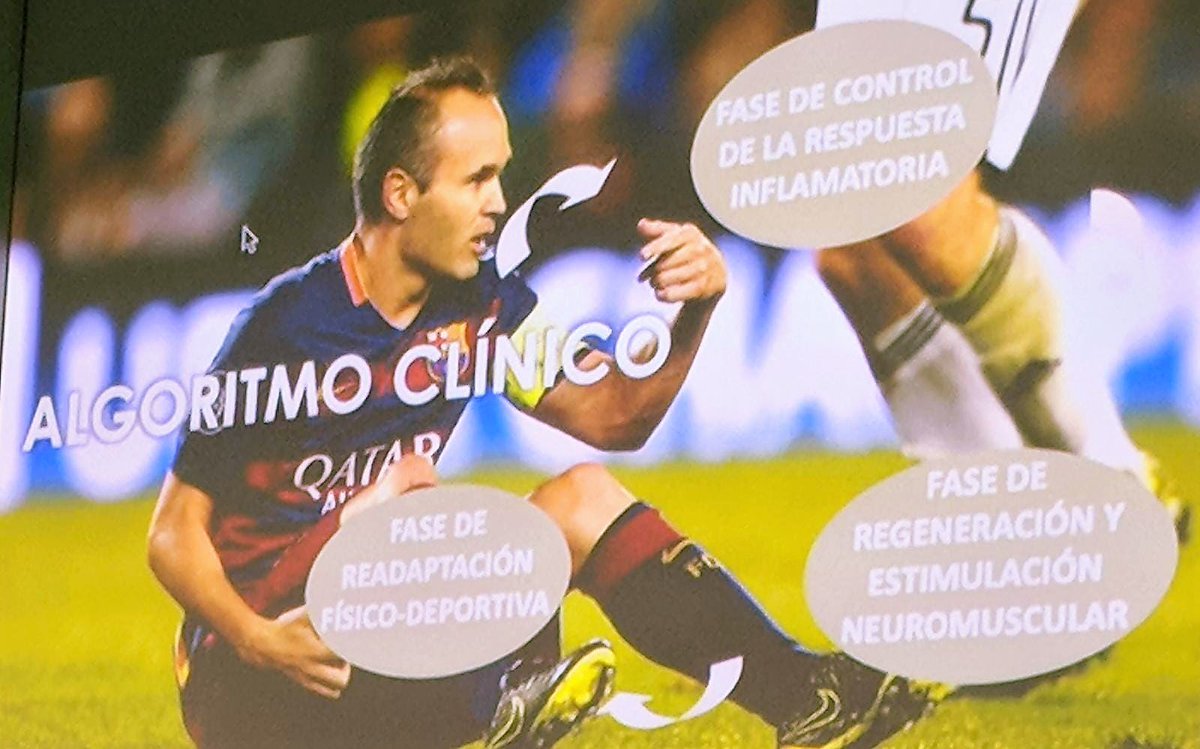 CIFI 2024 tweet media