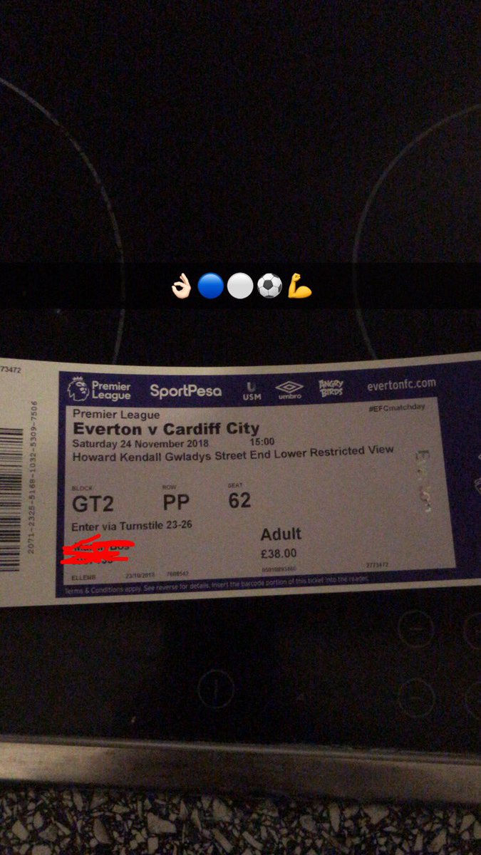 Everton FC Holland tweet media