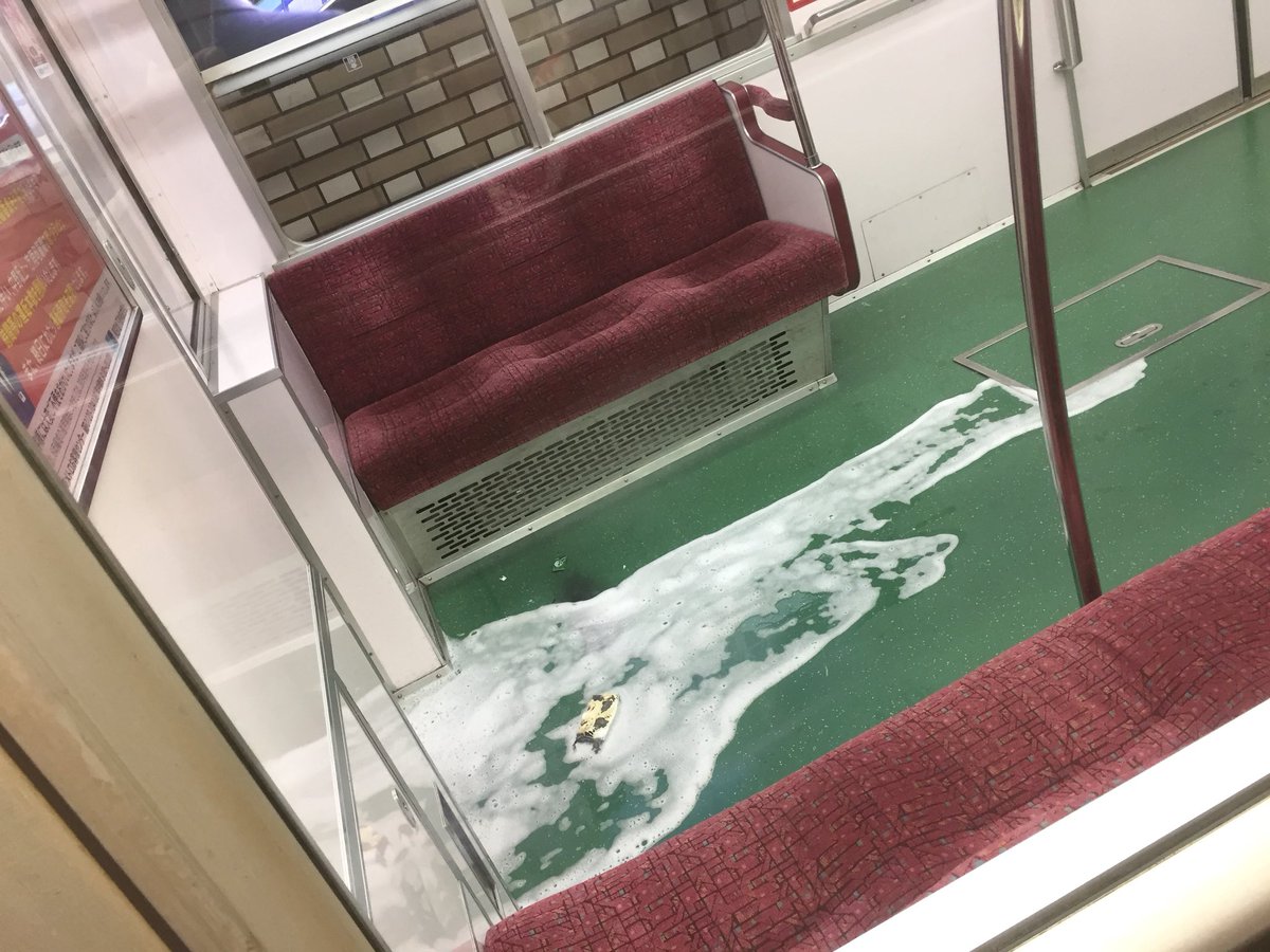 kijitora_siro's tweet photo. 丸ノ内線車内点検による遅れの原因はスマホ？の炎上みたい。 https://t.co/ncSHTk9jRT