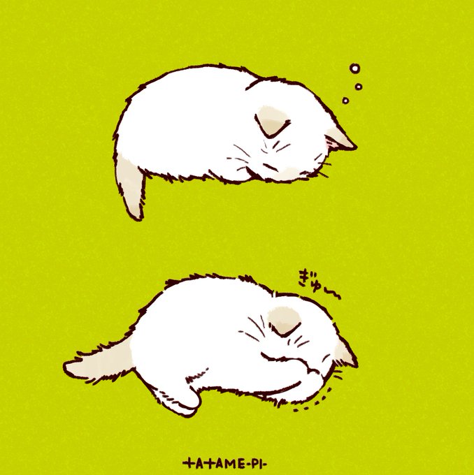 「誰もいない 白い猫」のTwitter画像/イラスト(古い順)