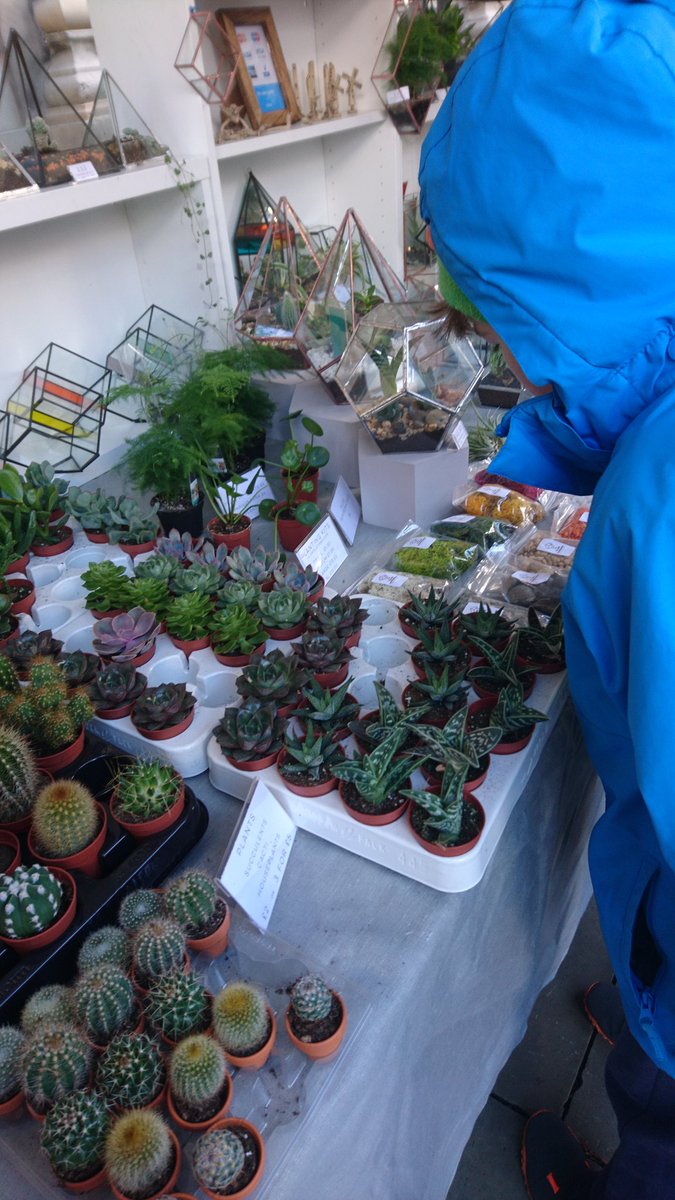 Vote for Macclesfield's Treacle Market as Britain's Favourite Market nabma.com/vote/ #macclesfield #cheshire #peakdistrict #silkroad