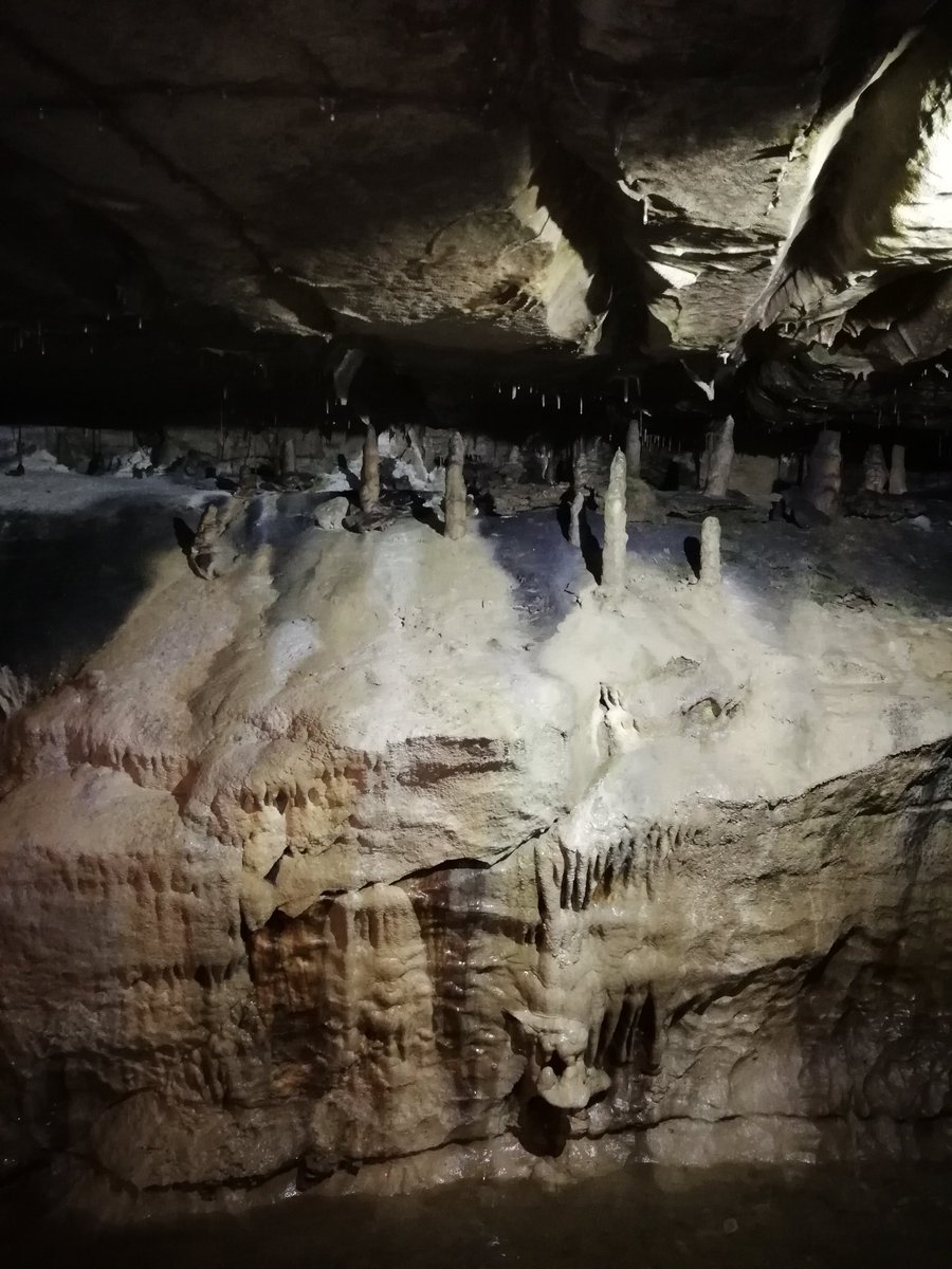DHSGeog's tweet photo. Stalactites, stalagmites and pillars, we're all definitely #GeographyExperts @DennyHighSchool https://t.co/vwwPhC1slQ