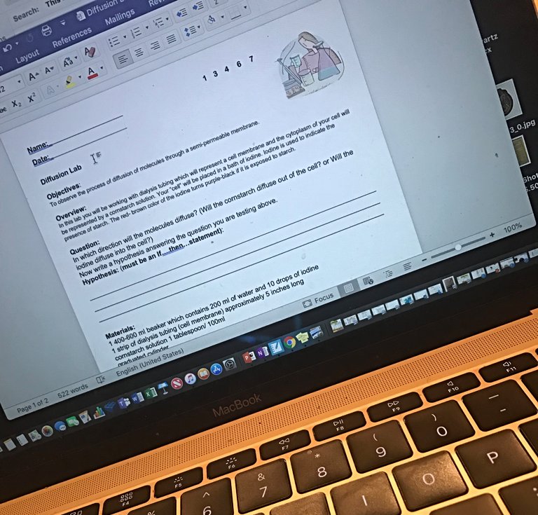 Candace38686995's tweet photo. Up bright and early working on revising my Diffusion Lab! #scienceinthemiddle #middleschool #middleschoolteacher #teacherlife #middleschoolscience https://t.co/80zlXTU7GU