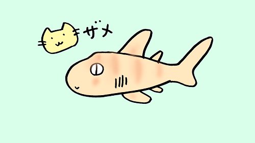 Twitter पर けいこっとん 竹島水族館 のネコザメさん 背を向けていたのでお顔を拝見することはできませんでした かわいい名前と容姿を持ち サメ界のアイドルではないかと思うのですが サザエをかみ砕く口は衝撃的です イラスト サメ イラスト好き