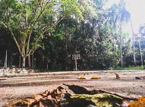 Jesteezy's tweet photo. @sunnyhills basketball court https://t.co/8BuxXdXDVf