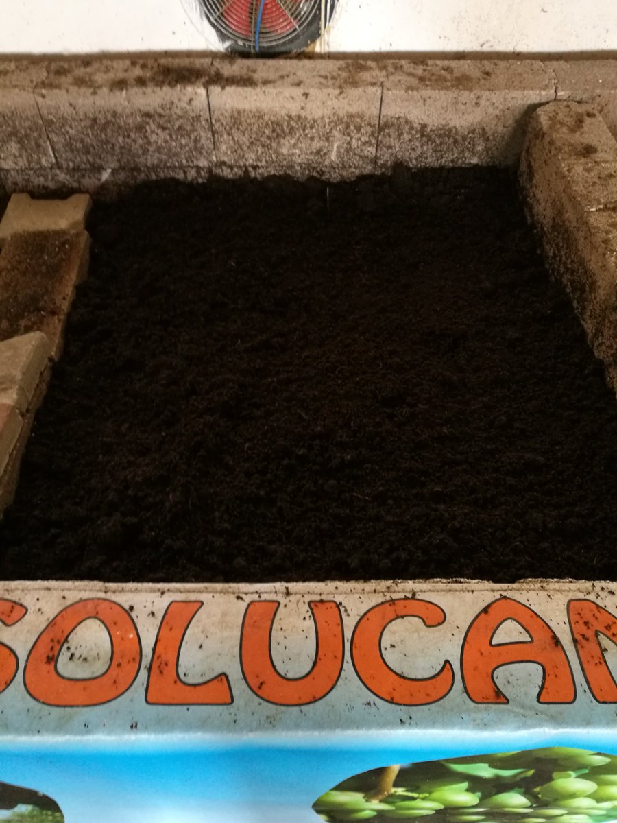 Selçuk beylerin solucanlarını otelimizde misafir etmeye başladık. Hayırlı uğurlu olsun..#solucan #solucangübresi #ataksolucan #kırmızıkaliforniyasolucanı #kaliforniyasolucanı #organik #organic #worms #mama #kazan #kahramankazan #yenibaşlayanlar #organiktarım