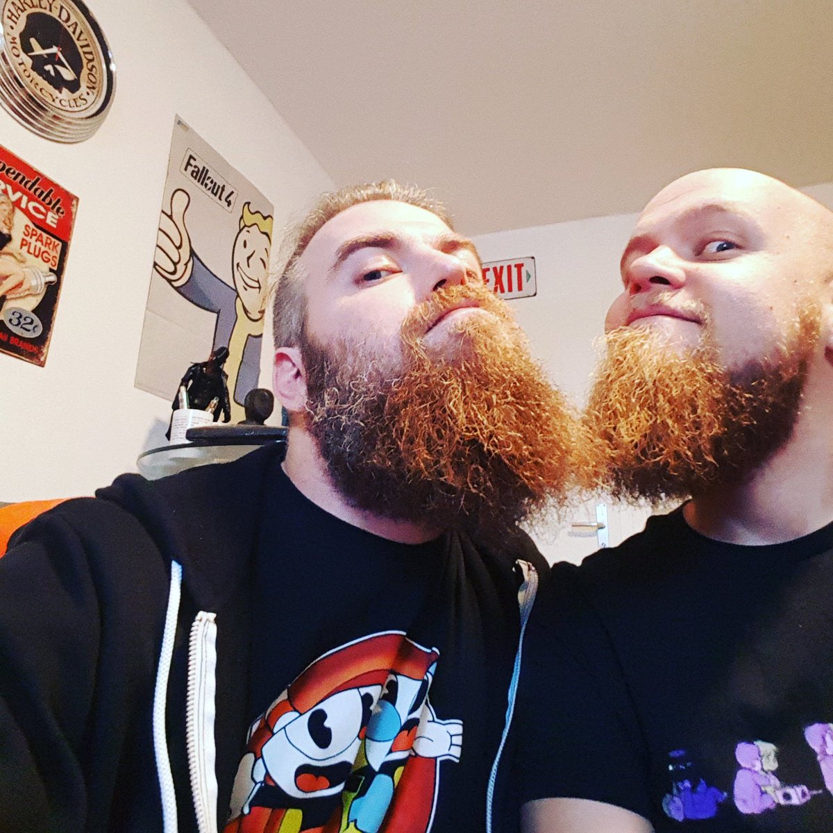 SandcoolTV's tweet photo. Sind jetzt live mit @sirkinoc
https://t.co/fWdQHAeJUJ
#BeardGasm #Stream #Halloween
#Twitch https://t.co/HuXcXJzjLB