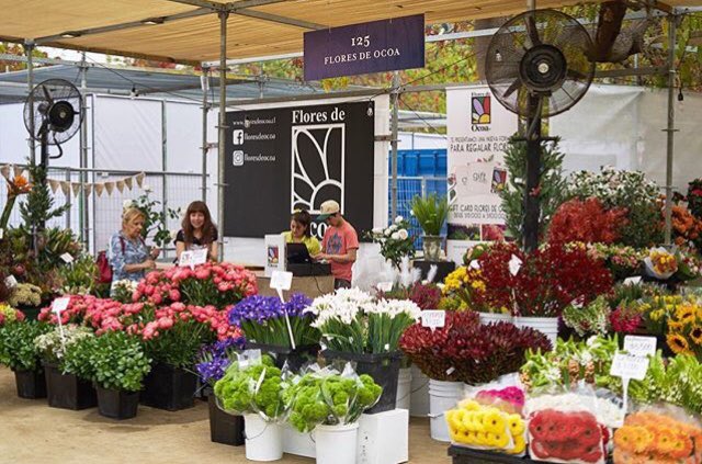 Jardinera_VD's tweet photo. Iniciamos nuestra última jornada de @jardinera_vd en el Parque Araucano! Hoy hasta las 21 hrs., con entretenidas actividades para grandes y chicos. Un imperdible? @floresdeocoa, stand 125 👌🏻 Los esperamos! https://t.co/27PEAbHLpy