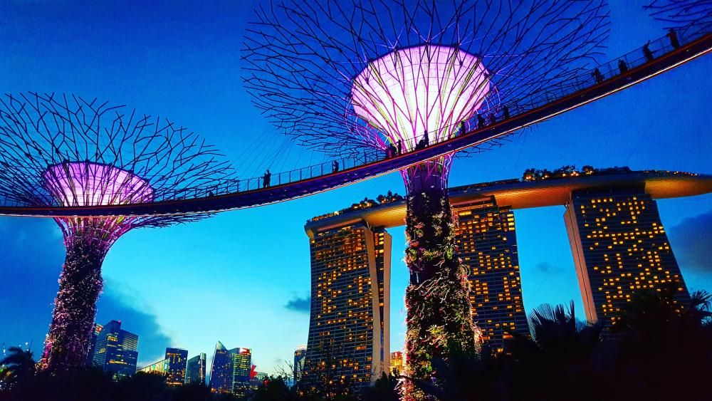 Jalan2com's tweet image. Mengunjungi Gardens by the Bay di Singapore, paling pas itu ketika sore dan hari mulai gelap, karena taman tersebut akan berwarna-warni dari lampu hias loh. Simak cerita berikut ini: buff.ly/2Sq0qQA