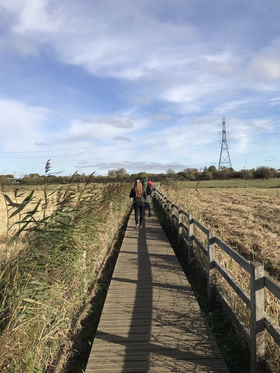 jonnyjjt's tweet photo. Fantastic weekend in London with Matthew Gandy’s ERC RUN team exploring places and ideas of urban nature @natura_urb @maanbarua @sandra_jasper @marcnyman @CamUniGeography #UrbanNature https://t.co/MqQwIXLksA