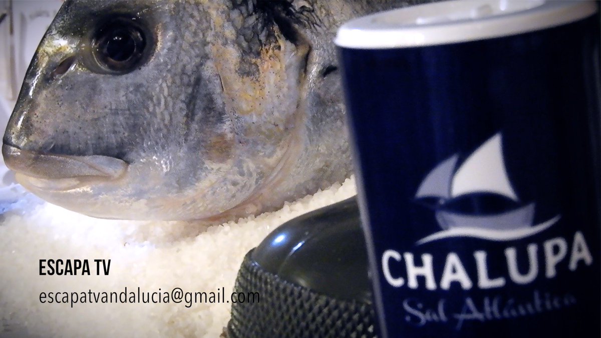 RecYouMultimedi's tweet image. Jornadas de @esteroysal y Sal 
@TurismoElPuerto @romerijo_puerto