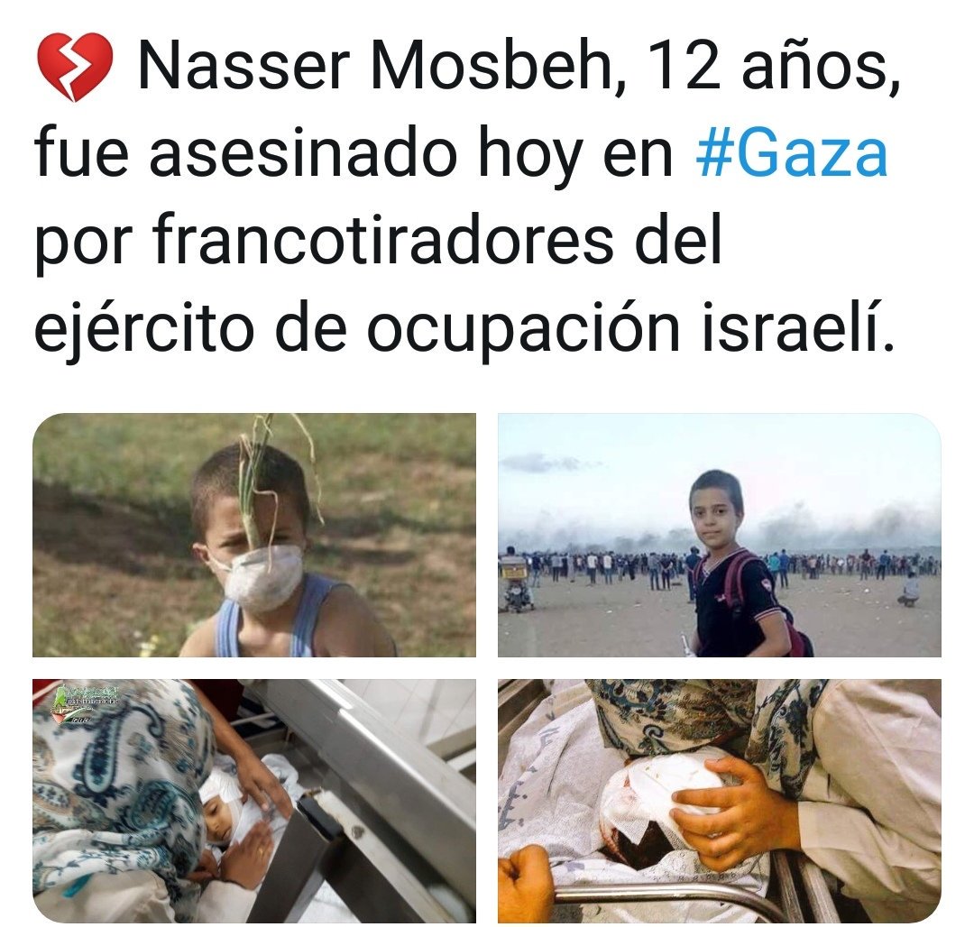 surkg437's tweet photo. @nc_lucas @casempire @davidmweissman @juliaioffe @PauletteStL #trolls #ziotroll #Zioshit #ZionistTerroristOccupation #Ziocriminals #ICC4Israel #GazaMassacre #CrimesAgainstHumanity #IsraeliCrimes https://t.co/J98gHFMhre