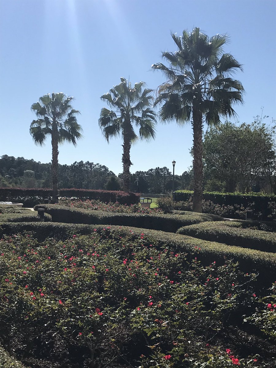 defunct135's tweet photo. Excited to be here for #TalentSymposium18 - my second since joining @quality_talent two years ago. Such a beautiful morning! https://t.co/WtaInztTKe