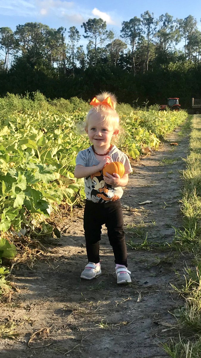 KWillis525's tweet photo. My punkin 🎃 https://t.co/3u5WblisO5