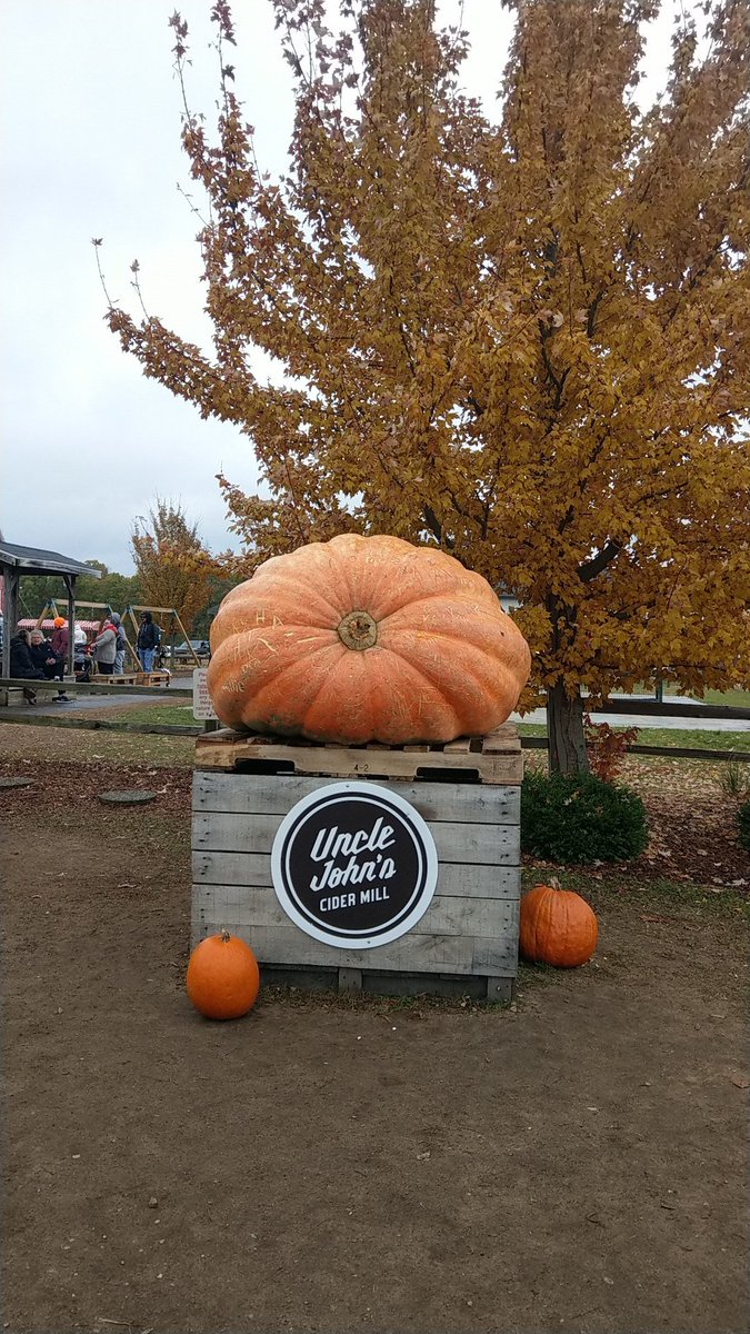 TheoryTraveling's tweet photo. Huge pumpkin! 
@UncleJohnsCider https://t.co/B0cgZPArgB