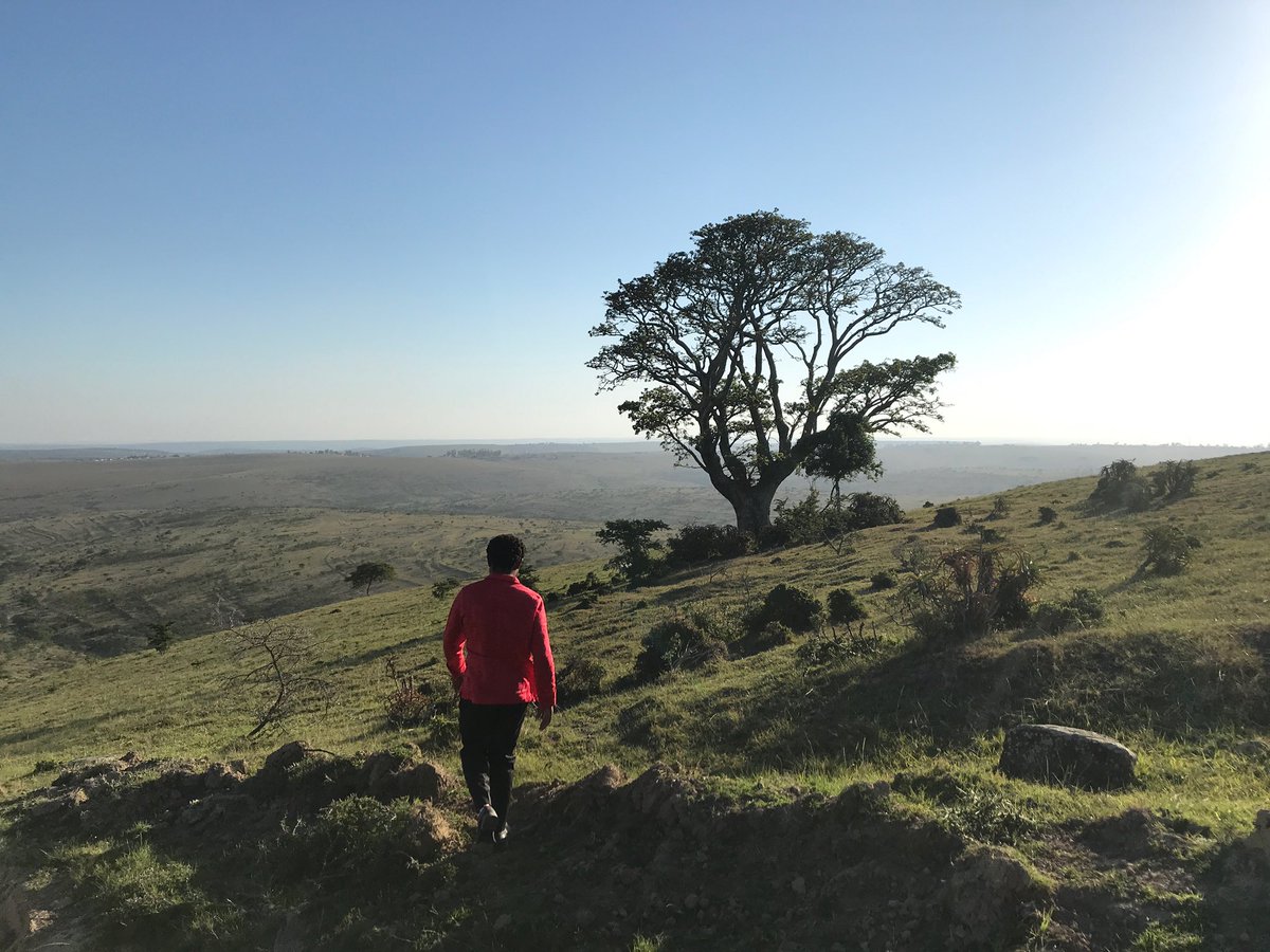 MbuyiseniNdlozi's tweet photo. Umhlaba... https://t.co/Kp9Smi2PU9