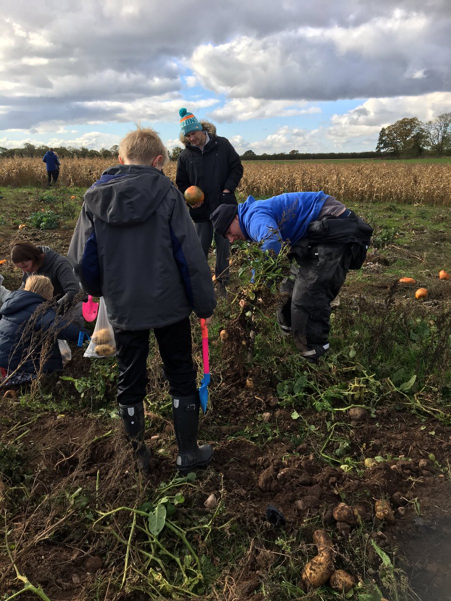 Sarah Crofoot tweet media