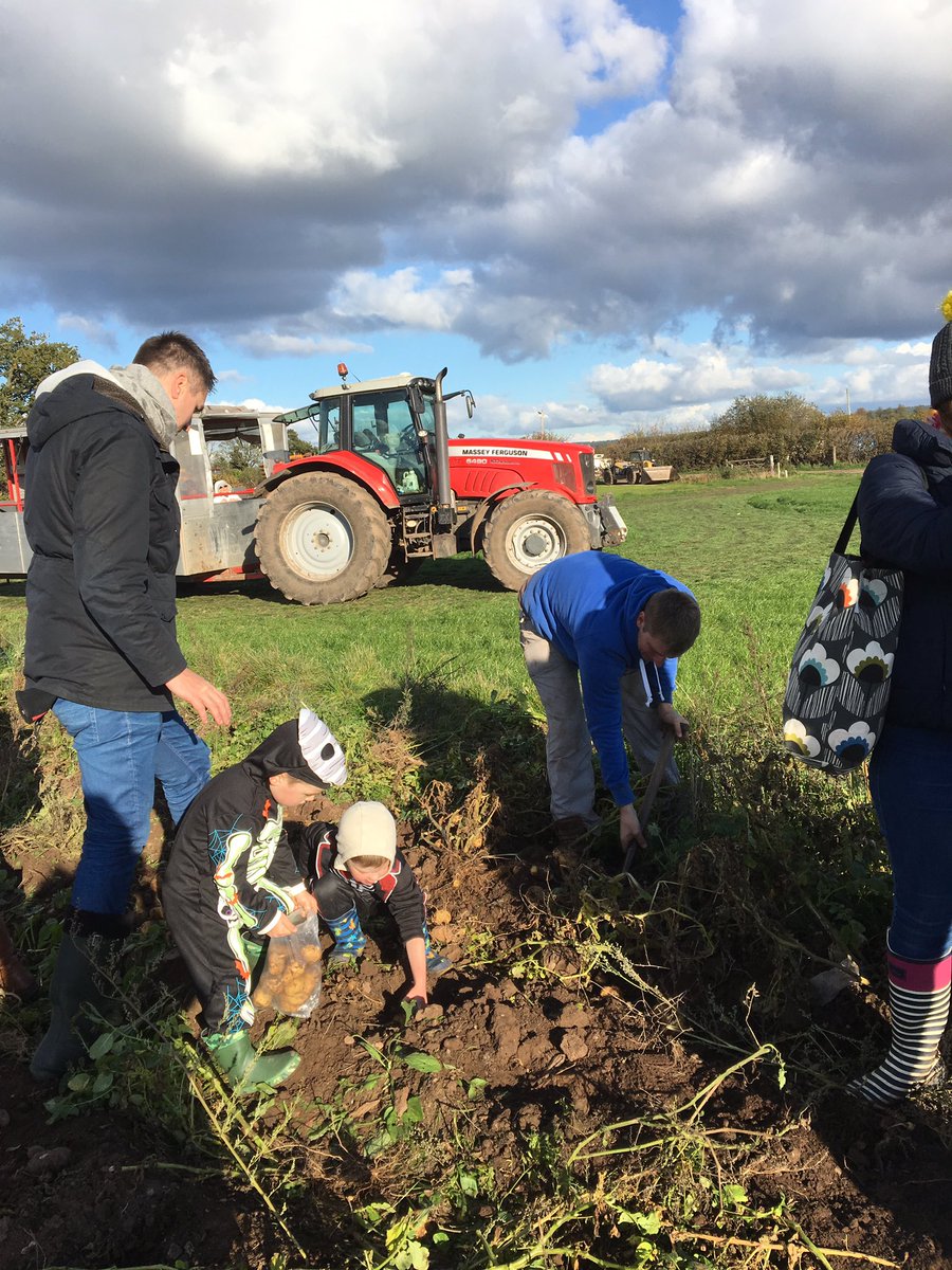 Sarah Crofoot tweet media