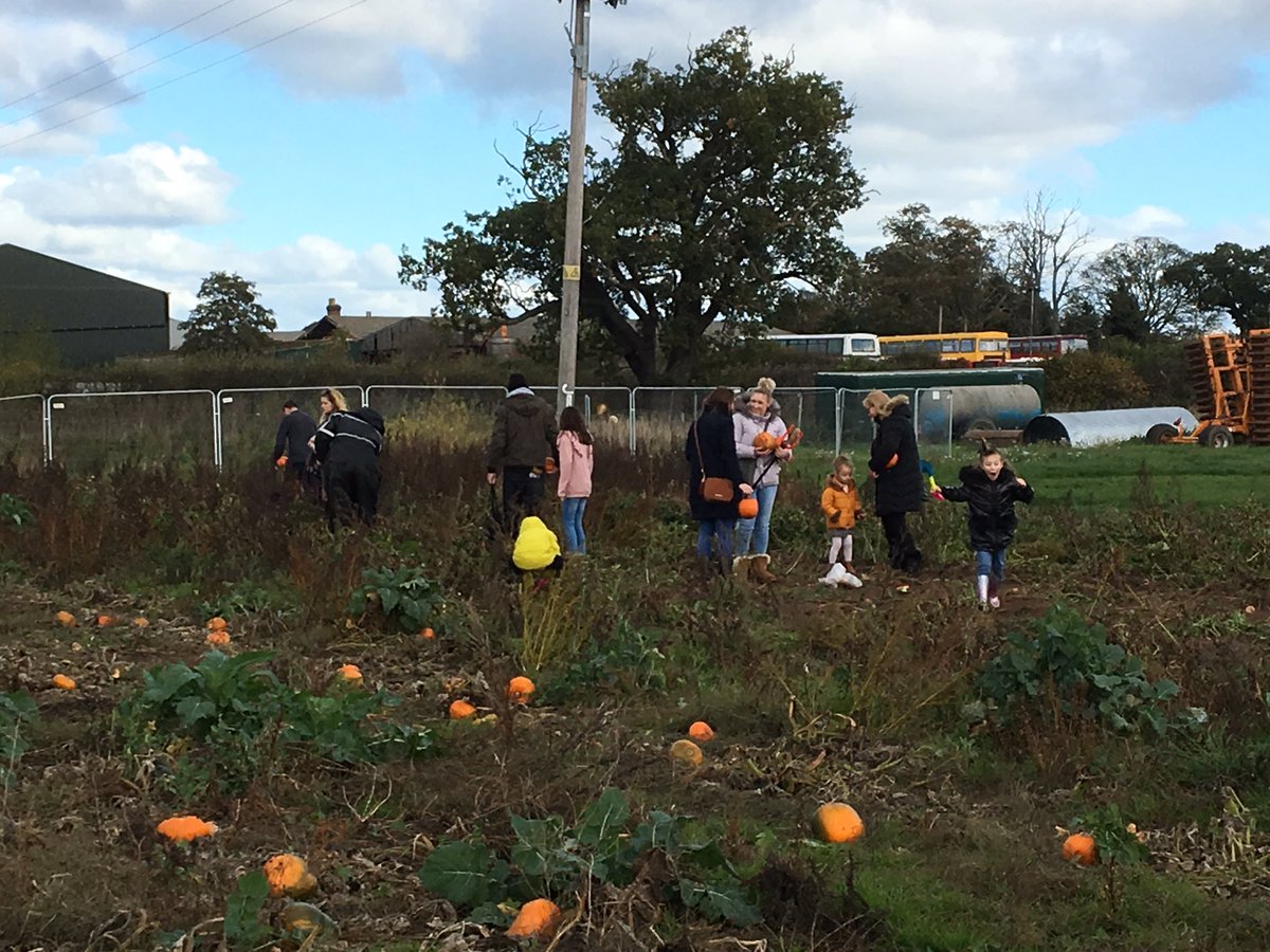 Sarah Crofoot tweet media