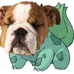 SolBulldog's tweet photo. Getting my pokémon on......solbasaur  hahaha just got my dad with razor leaf...what pokémon would you lot be? #supersunday #pokédog #englishbulldog #lovinglife https://t.co/PVtvsLWJcz