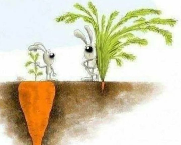 oxweb3's tweet image. زندگی خودتون رو با دیگران مقایسه نکنید، هیچ قیاسی بین ماه و خورشید وجود نداره اونها زمانش ک برسه هردو می درخشند.